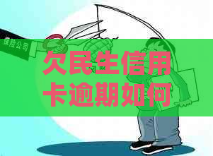 欠民生信用卡逾期如何处理