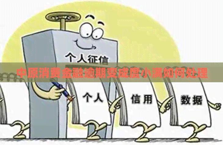 中原消费金融逾期变成度小满如何处理