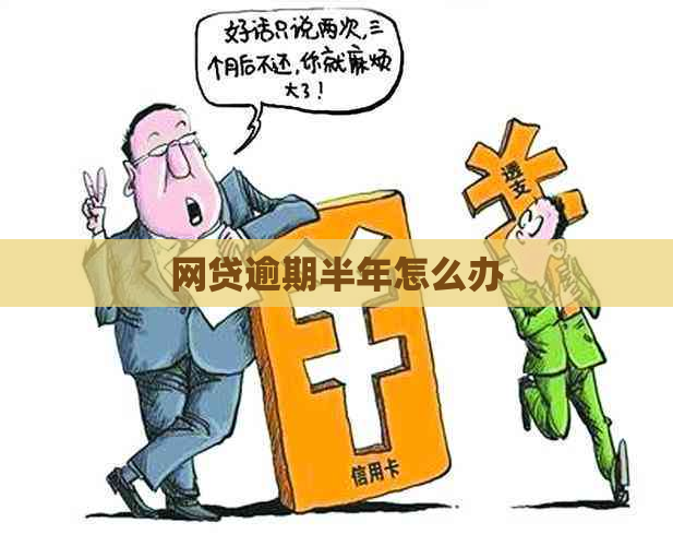 网贷逾期半年怎么办