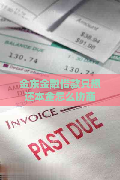 金东金融借款只想还本金怎么协商