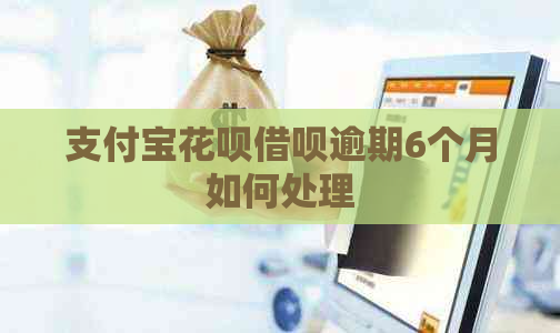支付宝信用卡网贷逾期6个月如何处理