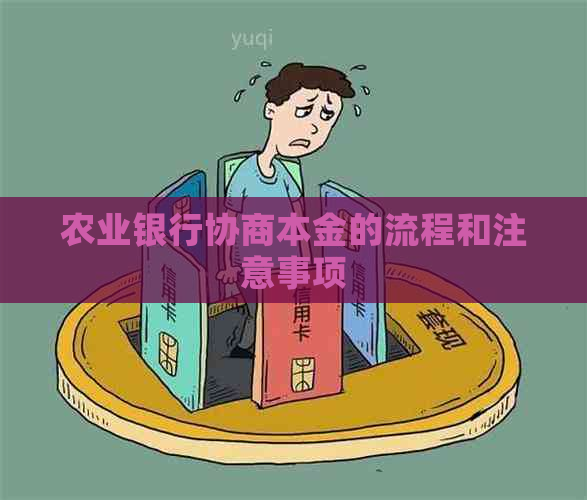 农业银行协商本金的流程和注意事项