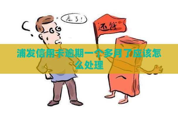 浦发信用卡逾期一个多月了应该怎么处理