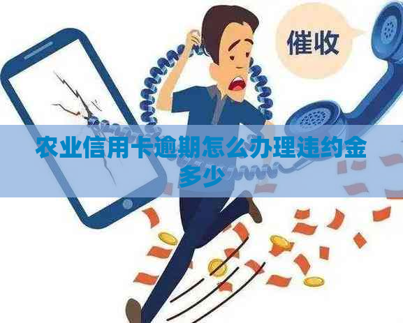 农业信用卡逾期怎么办理违约金多少