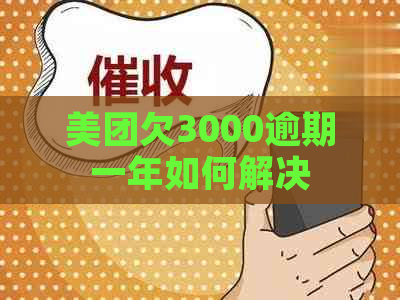 美团欠3000逾期一年如何解决