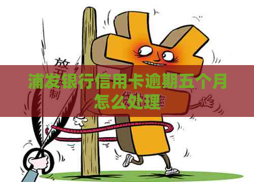 浦发银行信用卡逾期五个月怎么处理