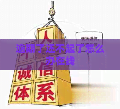 逾期了还不起了怎么办在线