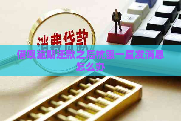 网贷逾期还款之后杭银一直发消息怎么办