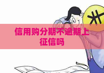 信用购分期不逾期上吗