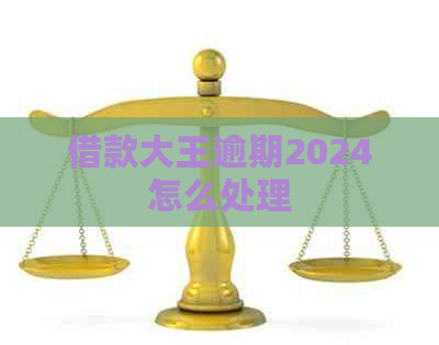 借款大王逾期2024怎么处理