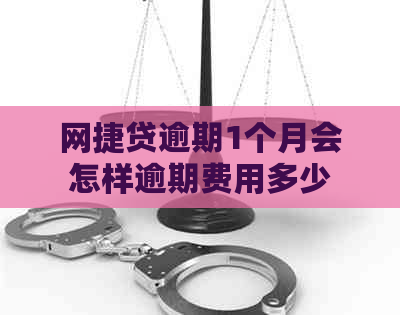 网捷贷逾期1个月会怎样逾期费用多少