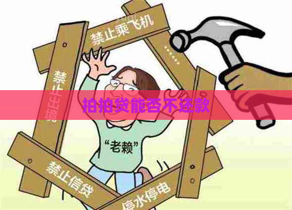 能否不还款