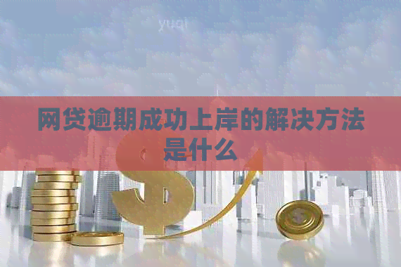 网贷逾期成功上岸的解决方法是什么
