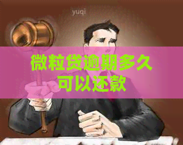 微粒贷逾期多久可以还款