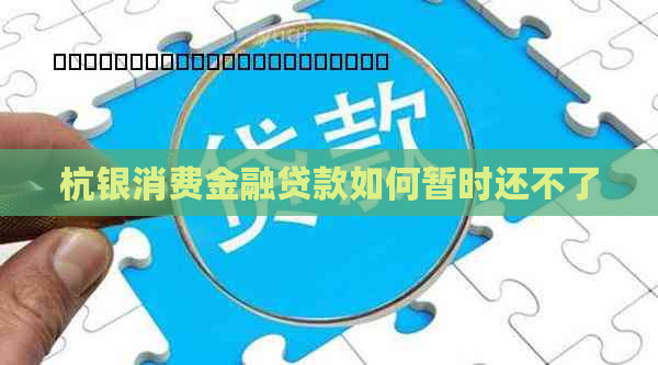 杭银消费金融贷款如何暂时还不了