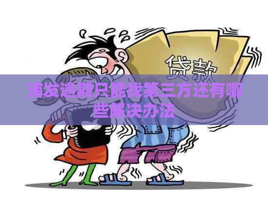 浦发逾期只能找第三方还有哪些解决办法