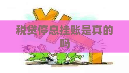 税贷停息挂账是真的吗