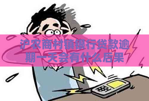 沪农商村镇银行贷款逾期一天会有什么后果