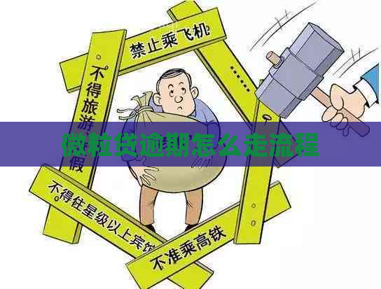 微粒贷逾期怎么走流程