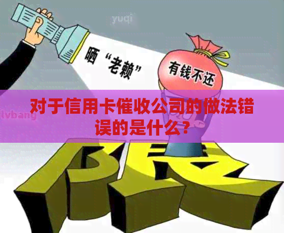 对于信用卡公司的做法错误的是什么？