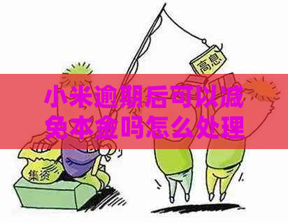 小米逾期后可以减免本金吗怎么处理