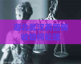 湖北武汉美团如何处理
