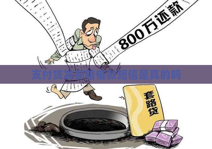 支付贷发邮箱催款短信是真的吗