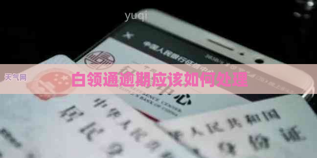 白领通逾期应该如何处理