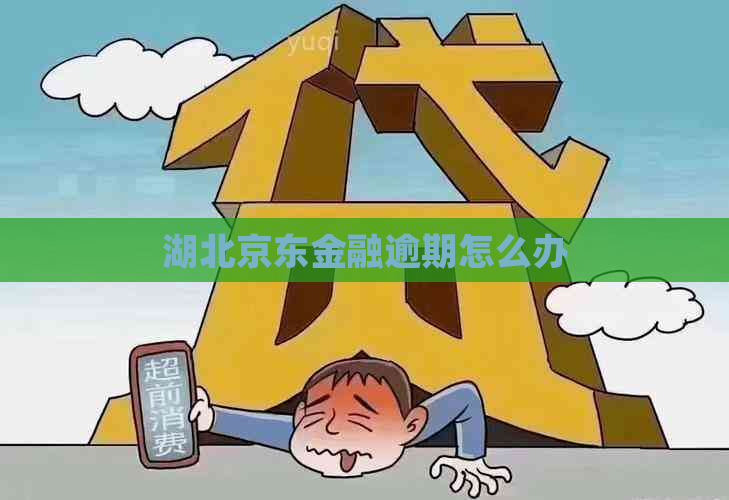 湖北京东金融逾期怎么办