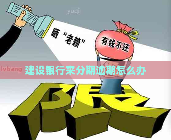 建设银行来分期逾期怎么办