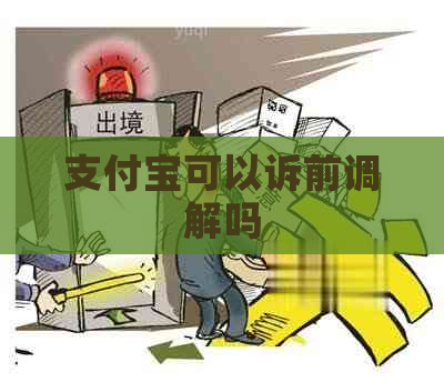 支付宝可以诉前调解吗