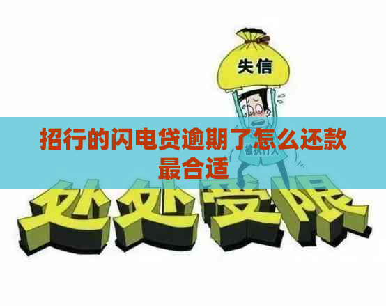 招行的闪电贷逾期了怎么还款最合适