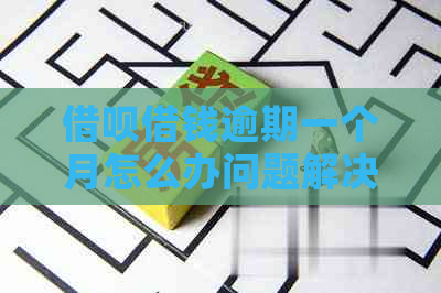 网贷借钱逾期一个月怎么办问题解决方案
