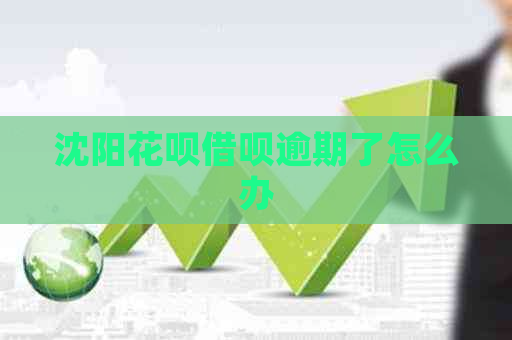 沈阳信用卡网贷逾期了怎么办
