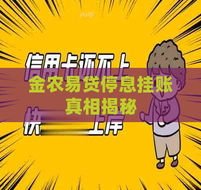 金农易贷停息挂账真相揭秘