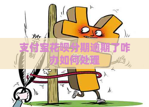 支付宝信用卡分期逾期了咋办如何处理