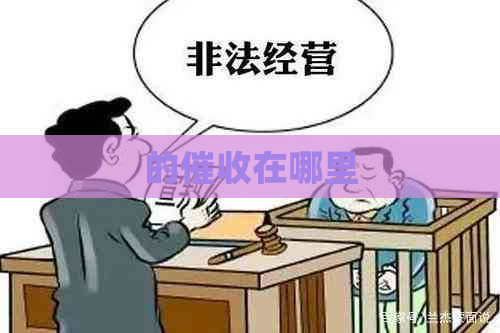 的在哪里