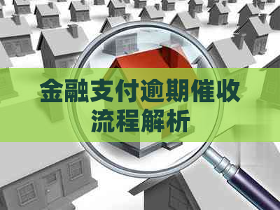 金融支付逾期流程解析