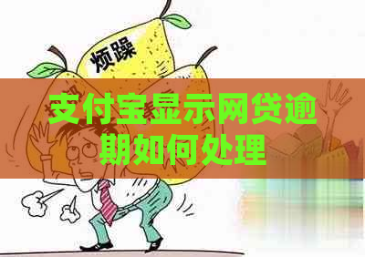 支付宝显示网贷逾期如何处理