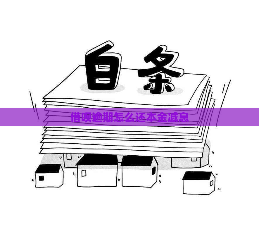 网贷逾期怎么还本金减息