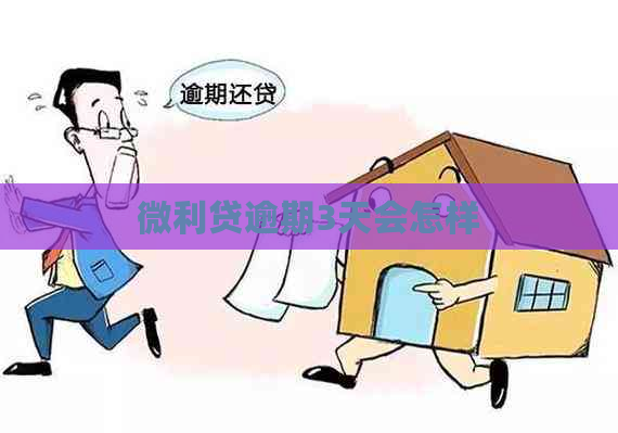 微利贷逾期3天会怎样