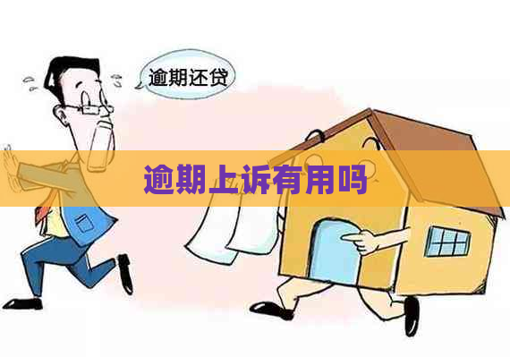 逾期上诉有用吗