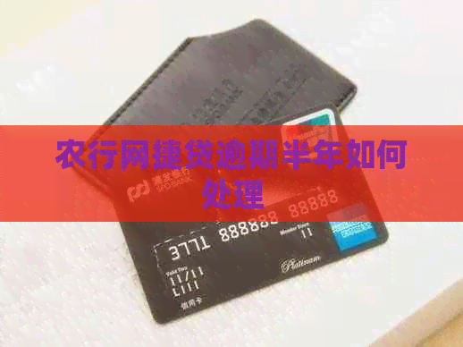 农行网捷贷逾期半年如何处理