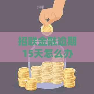 招联金融逾期15天怎么办