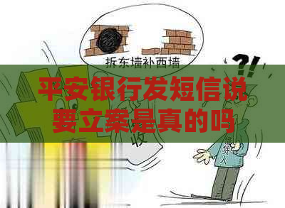 平安银行发短信说要立案是真的吗