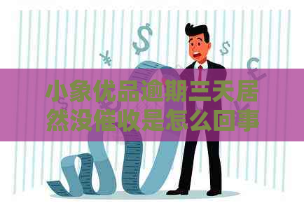 小象优品逾期三天居然没是怎么回事