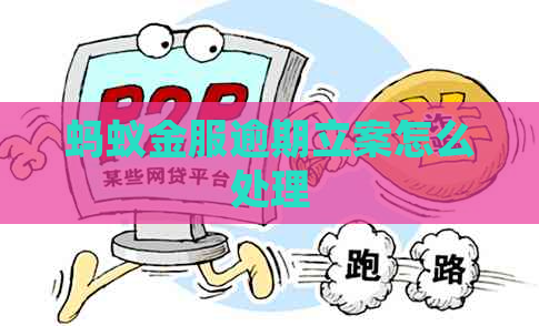 蚂蚁金服逾期立案怎么处理
