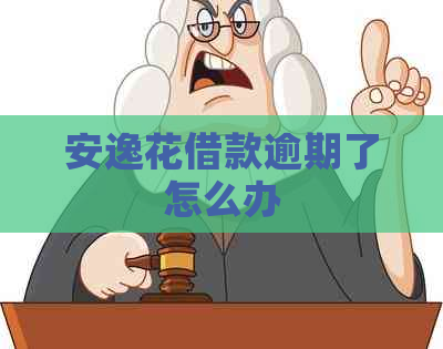 安逸花借款逾期了怎么办