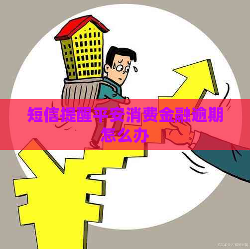 短信提醒平安消费金融逾期怎么办