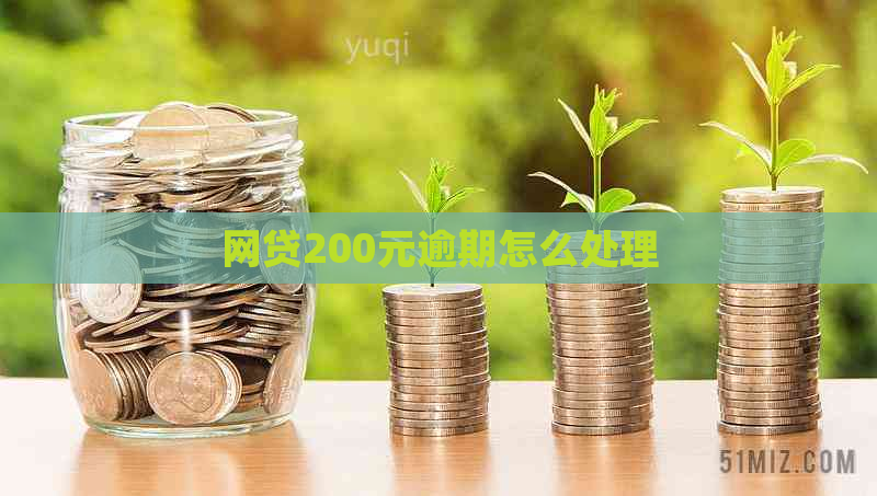 网贷200元逾期怎么处理